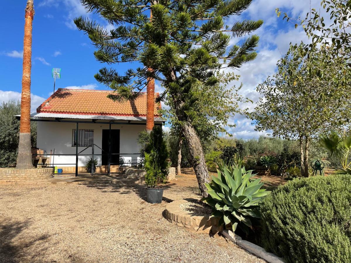 El Paraiso Del Olivar Bollullos de la Mitación Exteriér fotografie