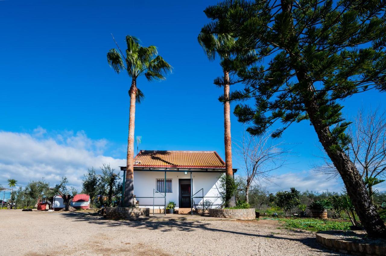 El Paraiso Del Olivar Bollullos de la Mitación Exteriér fotografie