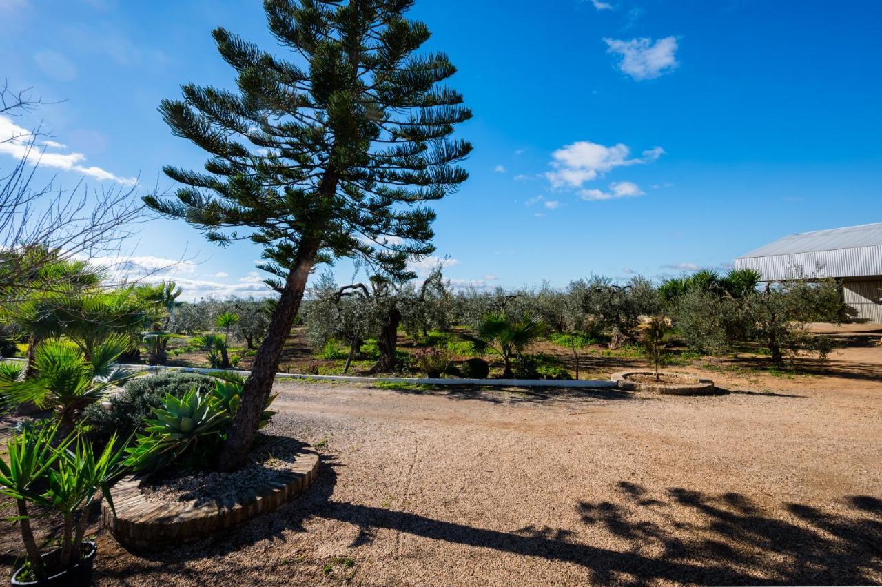 El Paraiso Del Olivar Bollullos de la Mitación Exteriér fotografie