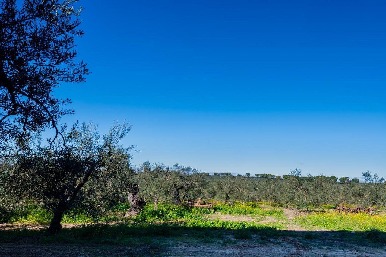 El Paraiso Del Olivar Bollullos de la Mitación Exteriér fotografie
